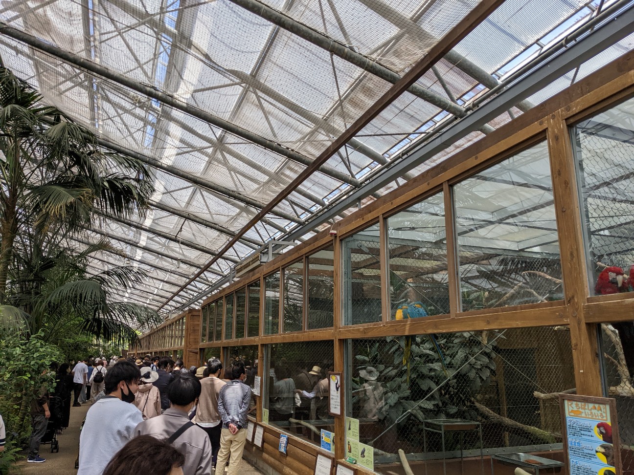 f:id:ranchou:20220727224602j:image