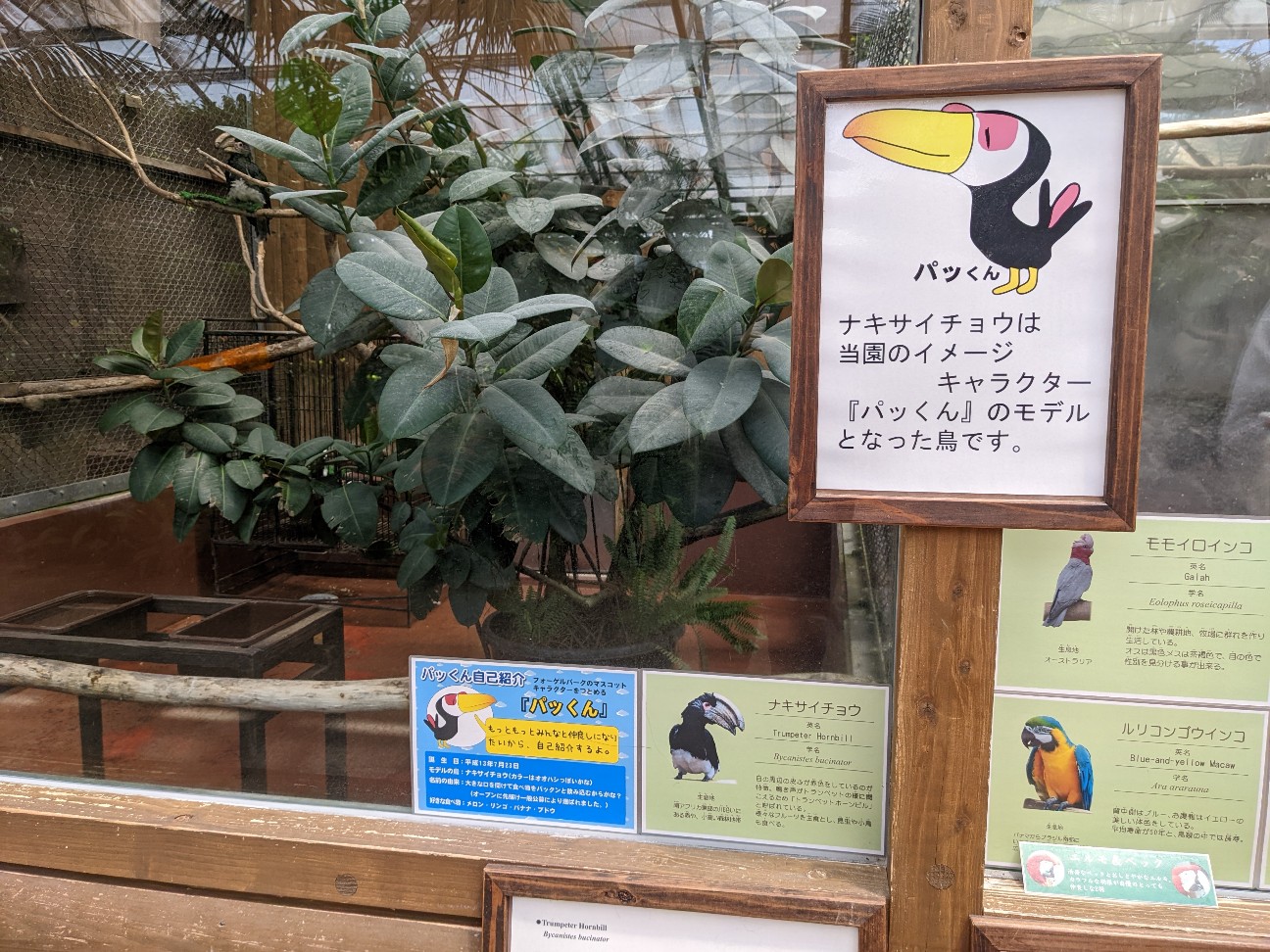 f:id:ranchou:20220727224627j:image