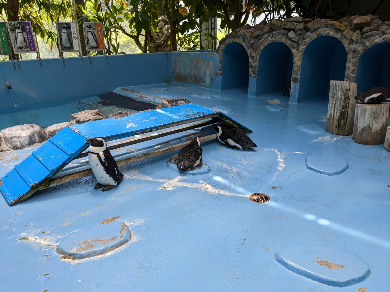 f:id:ranchou:20220727224711j:image