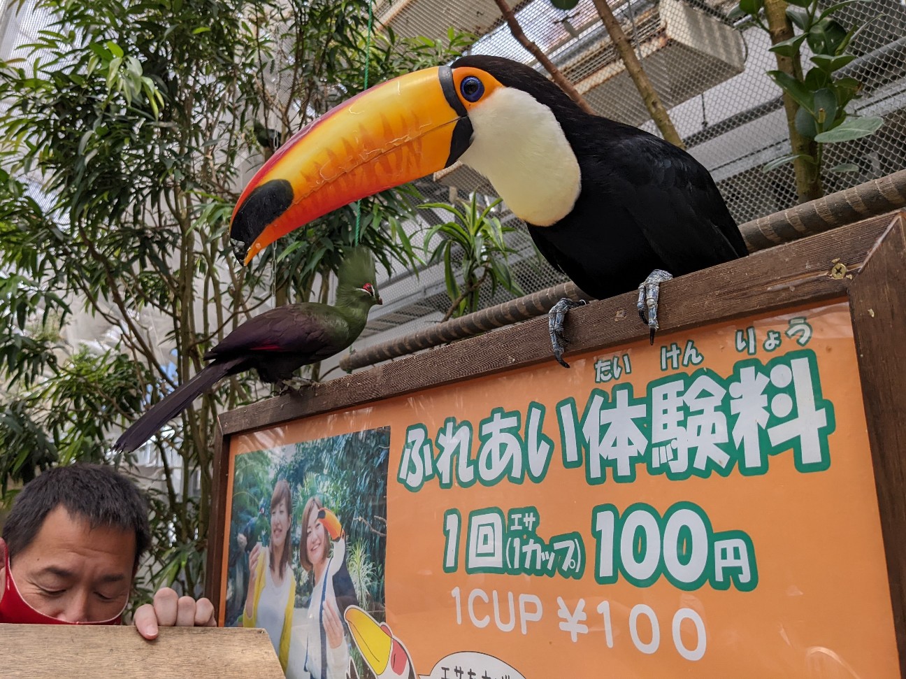 f:id:ranchou:20220727224837j:image