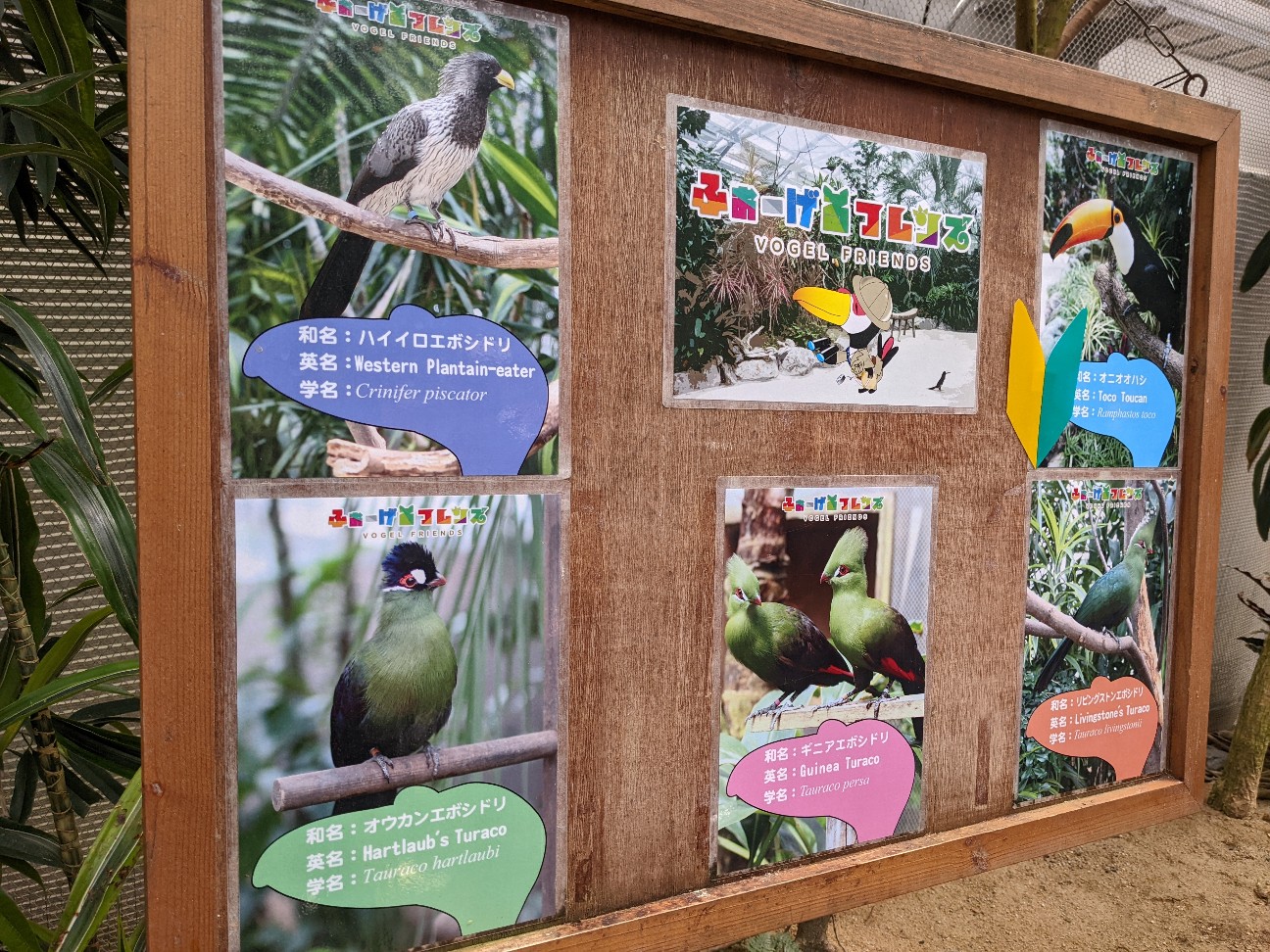 f:id:ranchou:20220727224903j:image