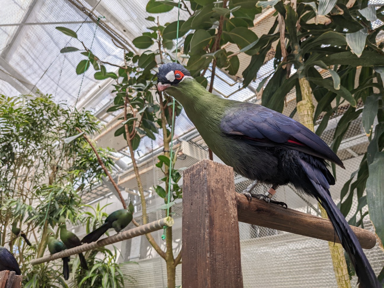 f:id:ranchou:20220727224925j:image