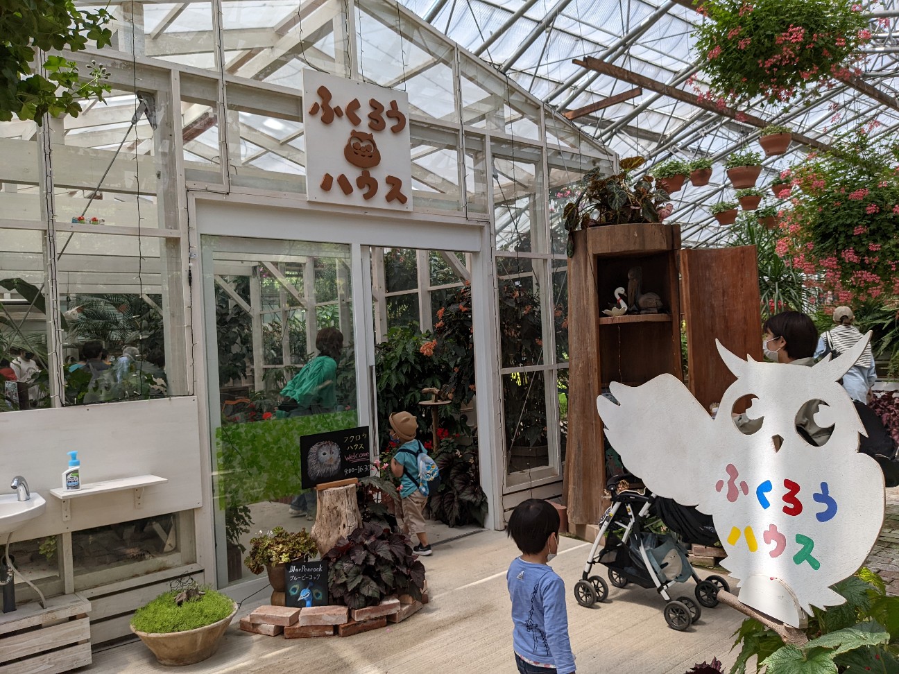 f:id:ranchou:20220727225150j:image