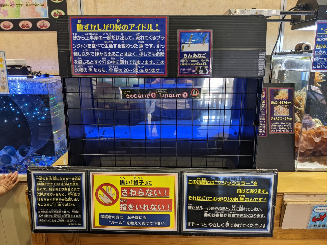 f:id:ranchou:20220731155801j:image