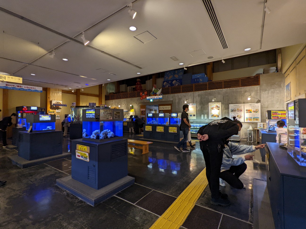 f:id:ranchou:20220731194520j:image