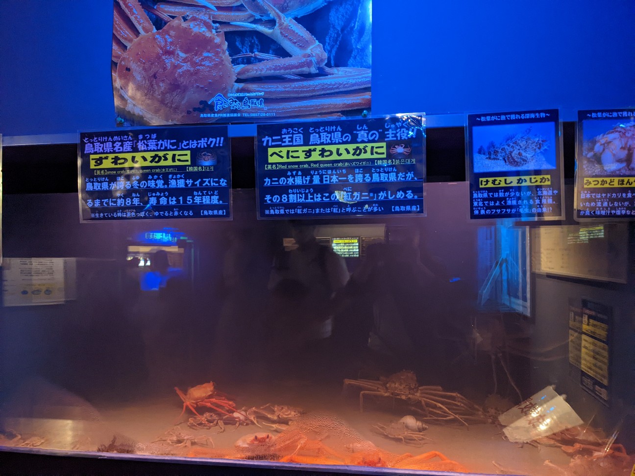 f:id:ranchou:20220731194632j:image