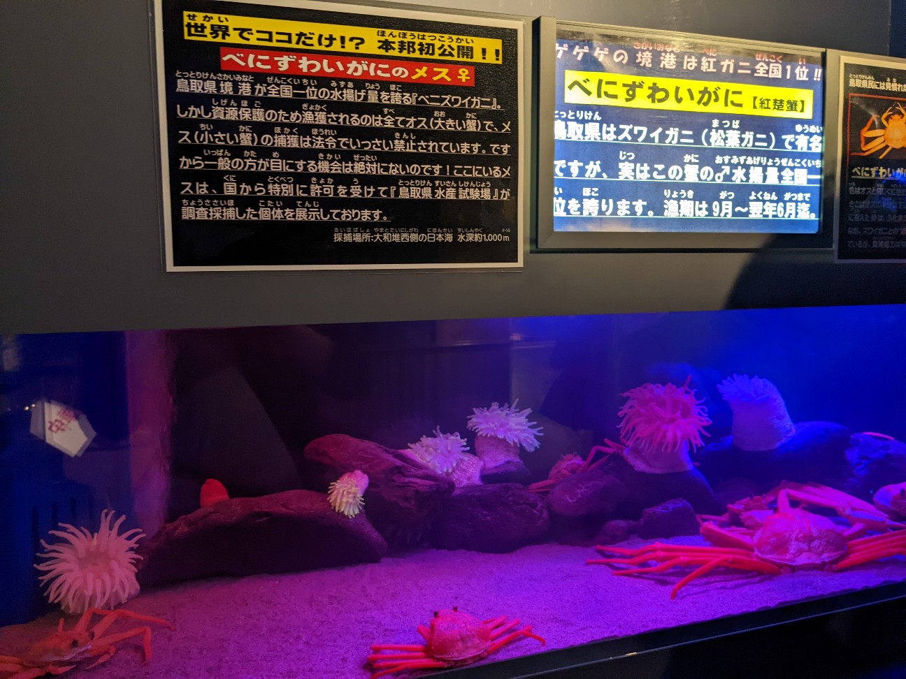 f:id:ranchou:20220731194655j:image