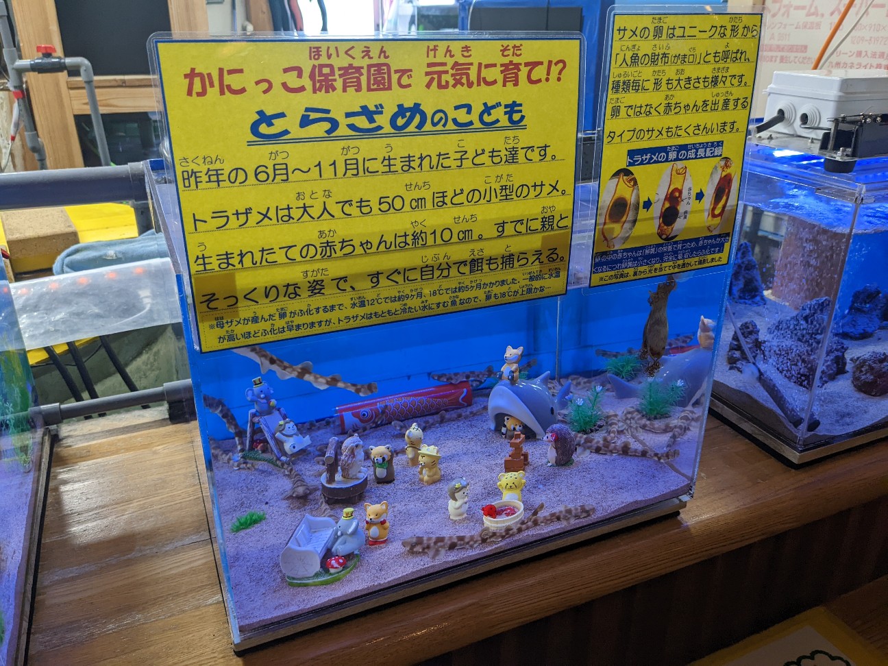 f:id:ranchou:20220731194704j:image