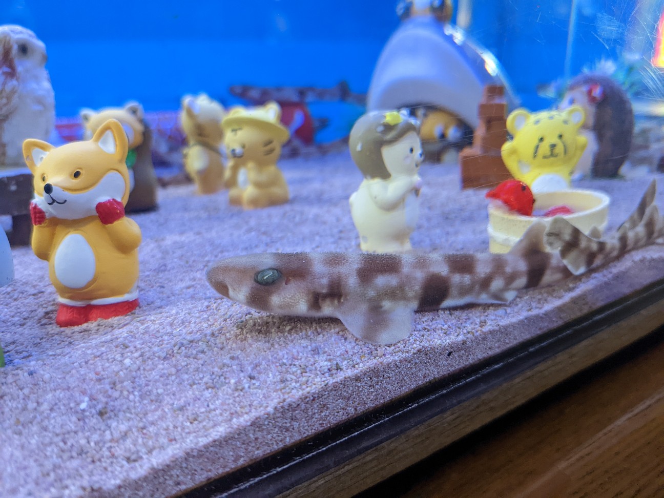 f:id:ranchou:20220731194713j:image