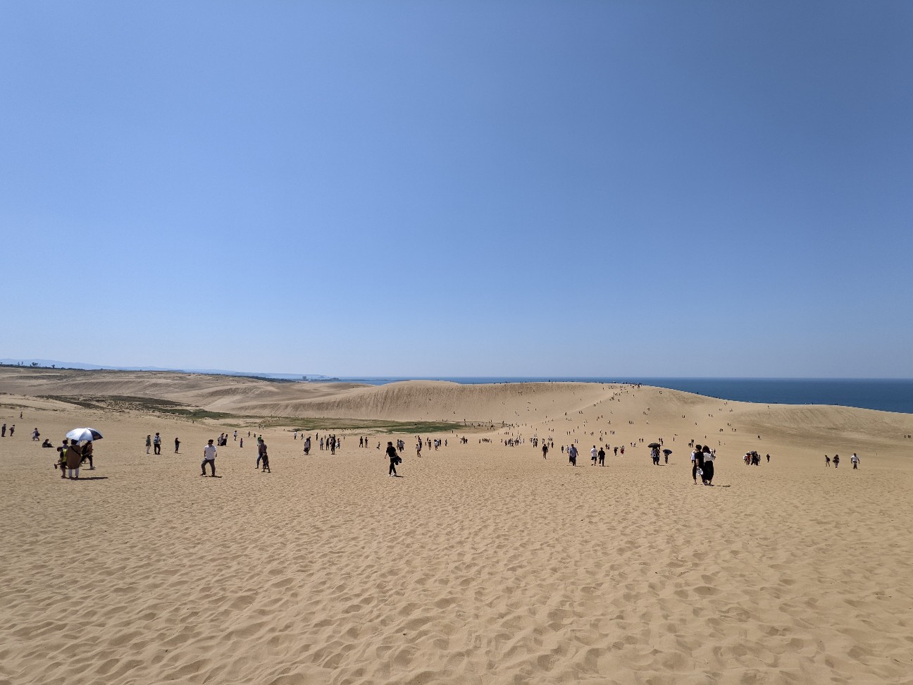 f:id:ranchou:20220731195013j:image