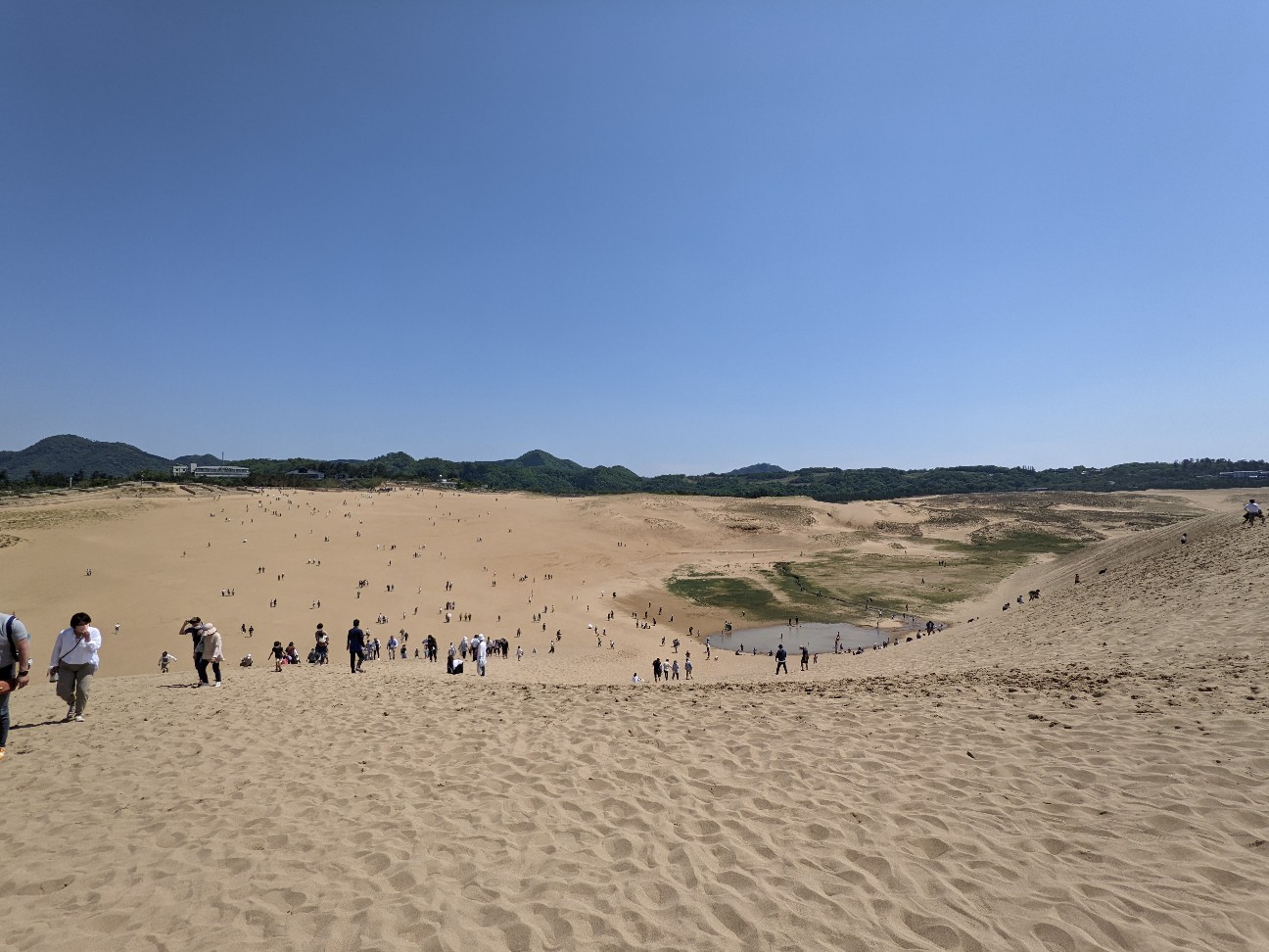 f:id:ranchou:20220731195329j:image