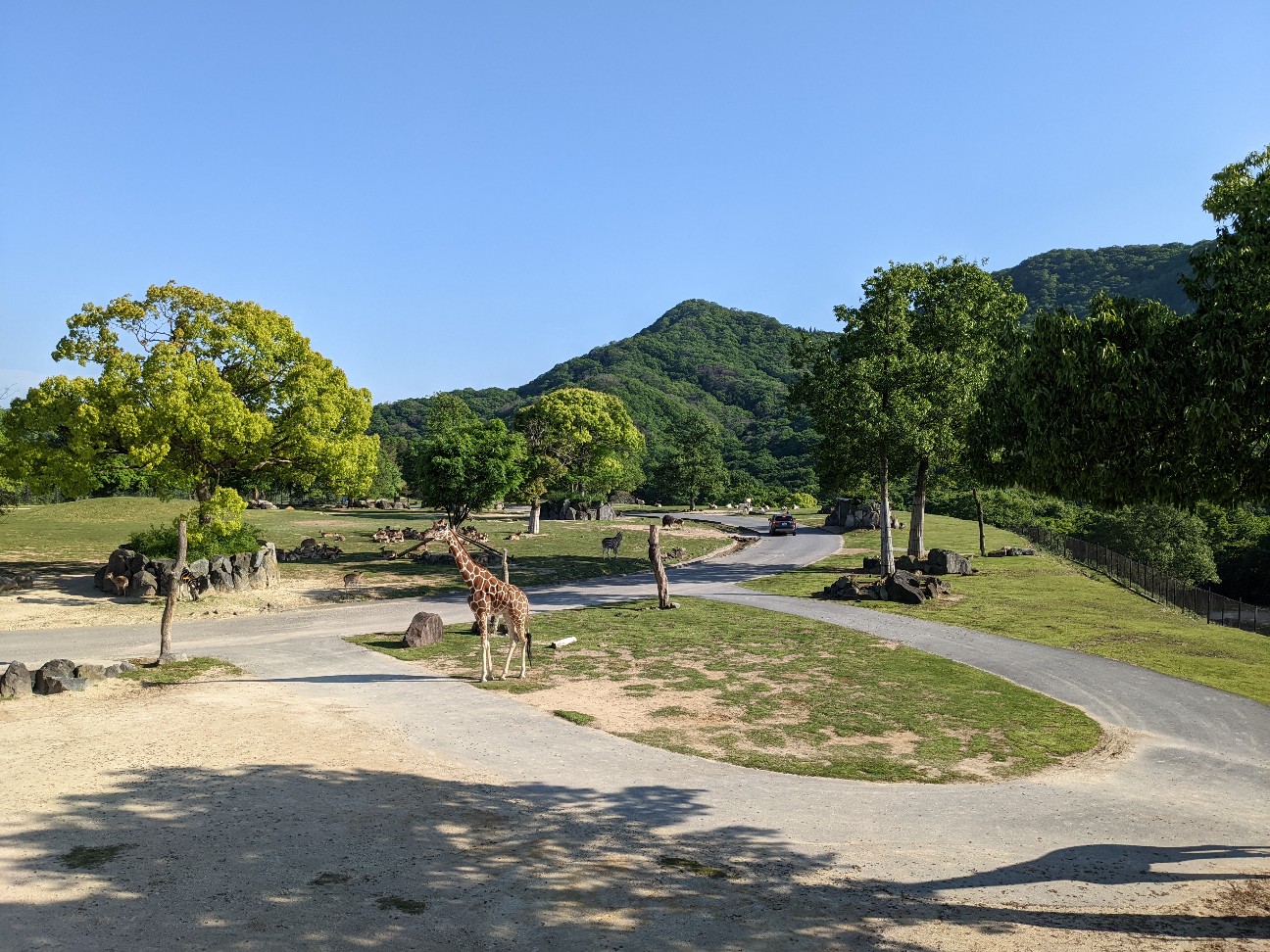 f:id:ranchou:20220804194245j:image f:id:ranchou:20220804194245j:image