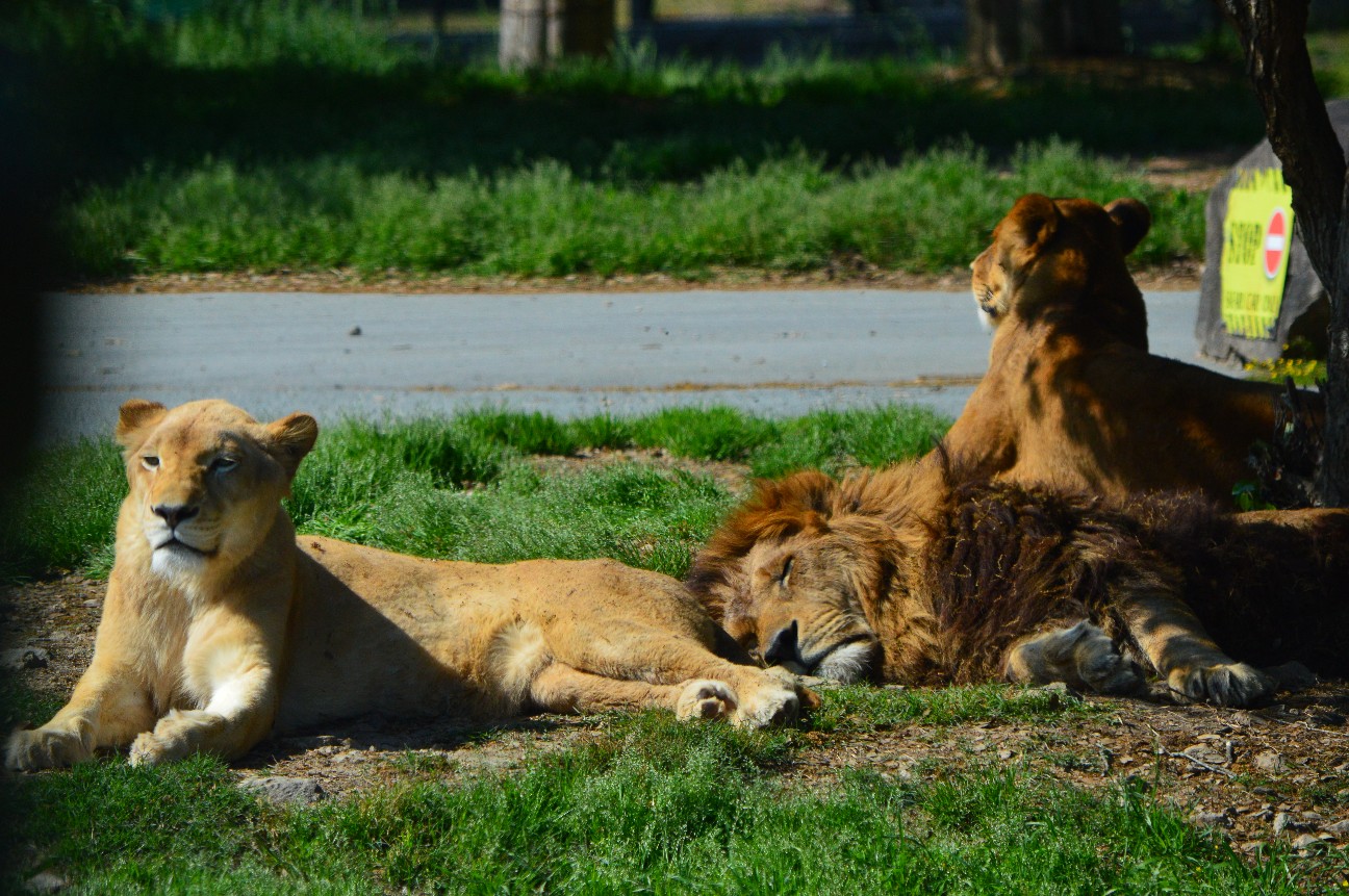 f:id:ranchou:20220804234828j:image f:id:ranchou:20220804234828j:image