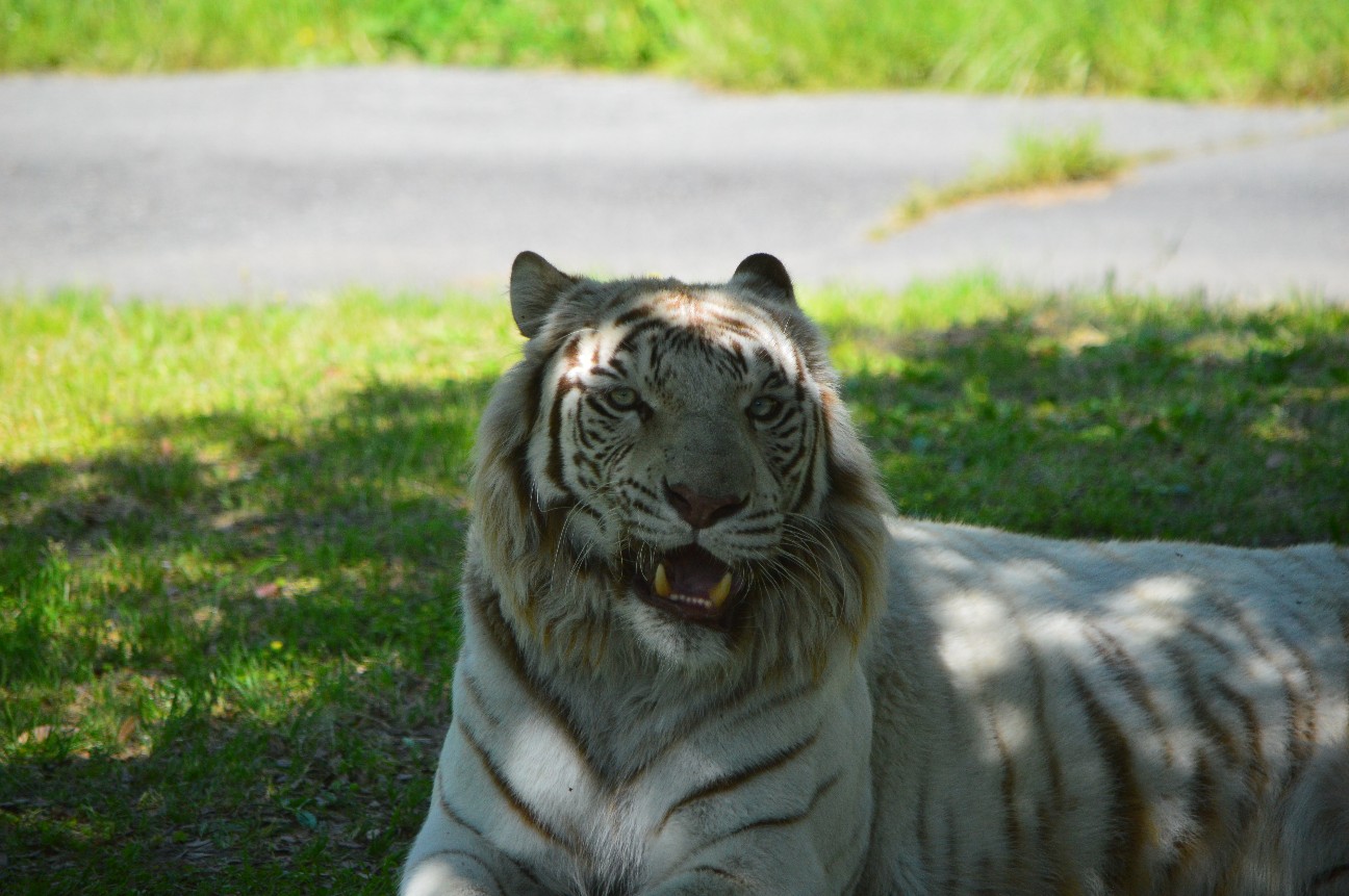 f:id:ranchou:20220804234842j:image f:id:ranchou:20220804234842j:image