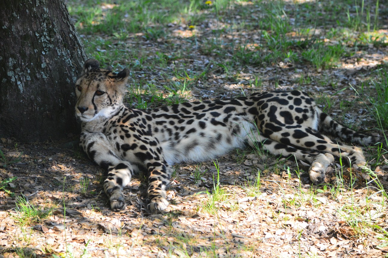 f:id:ranchou:20220804234854j:image f:id:ranchou:20220804234854j:image