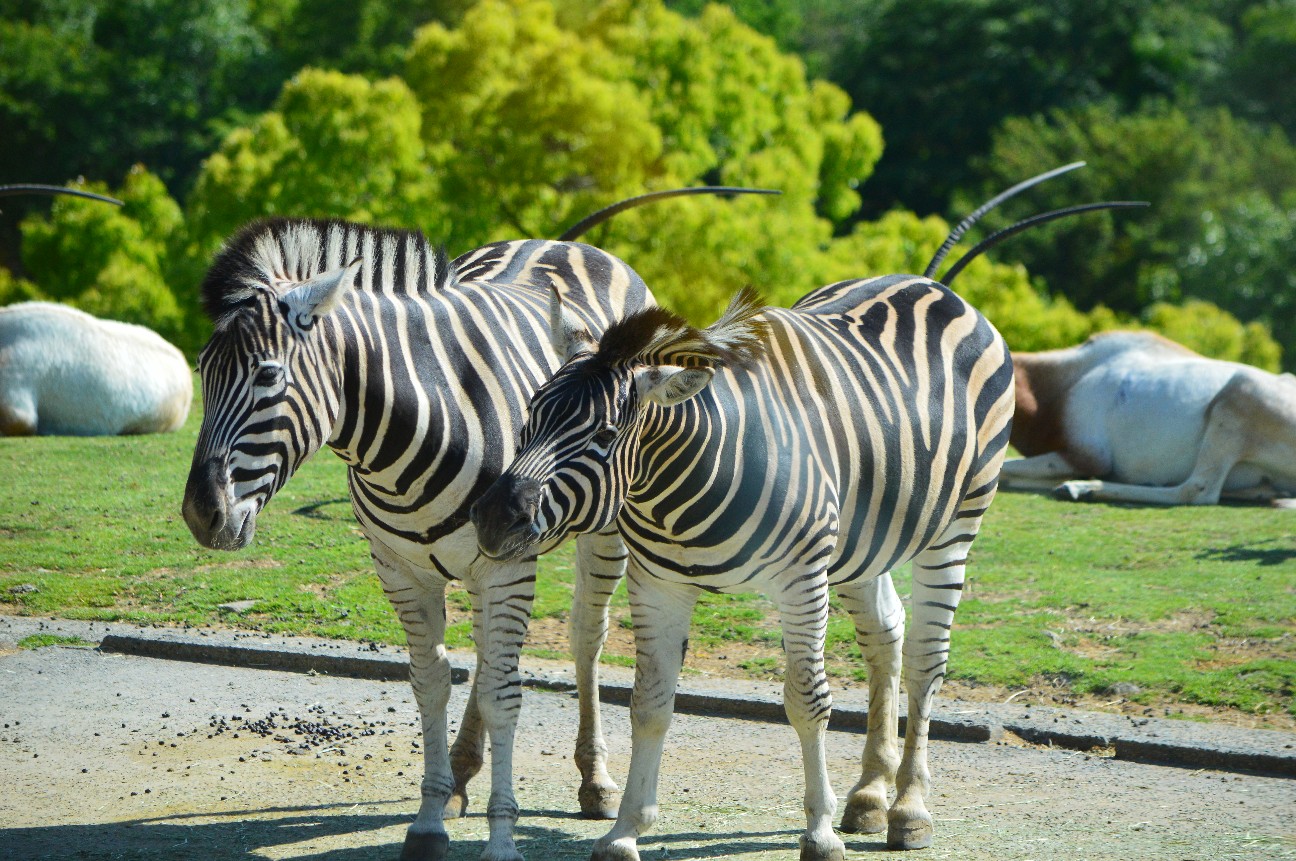 f:id:ranchou:20220804234943j:image f:id:ranchou:20220804234943j:image