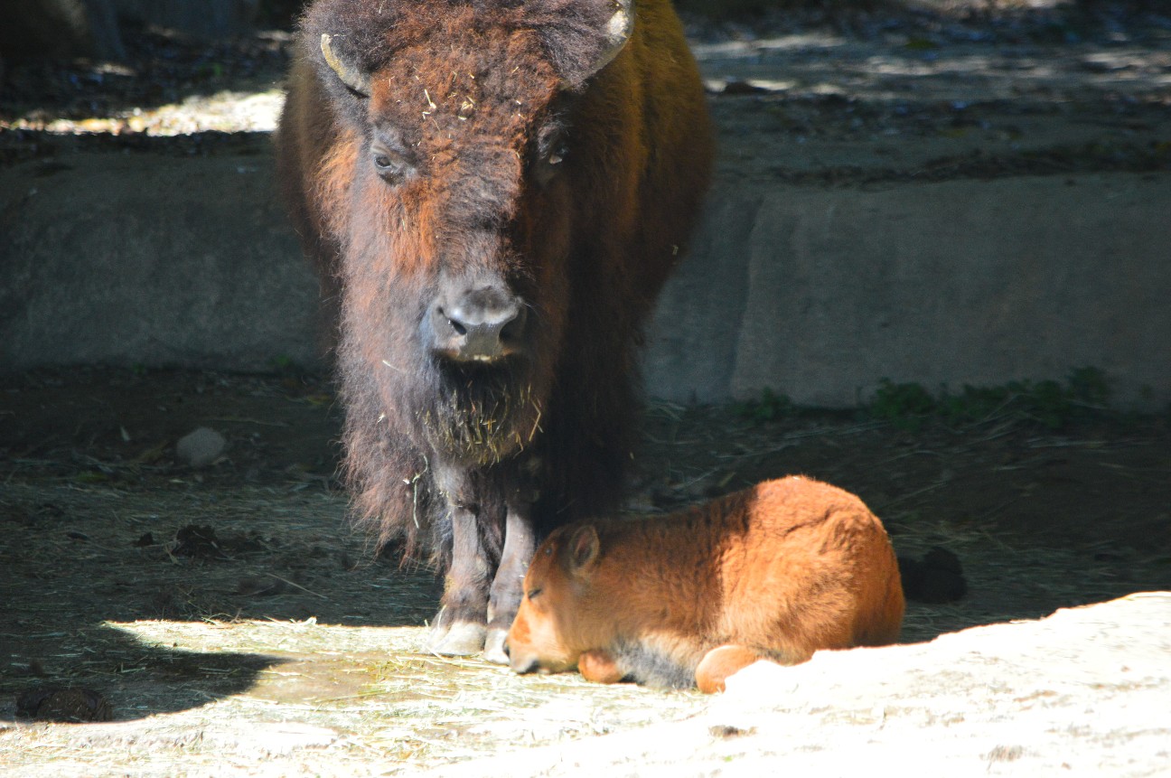 f:id:ranchou:20220804234954j:image f:id:ranchou:20220804234954j:image