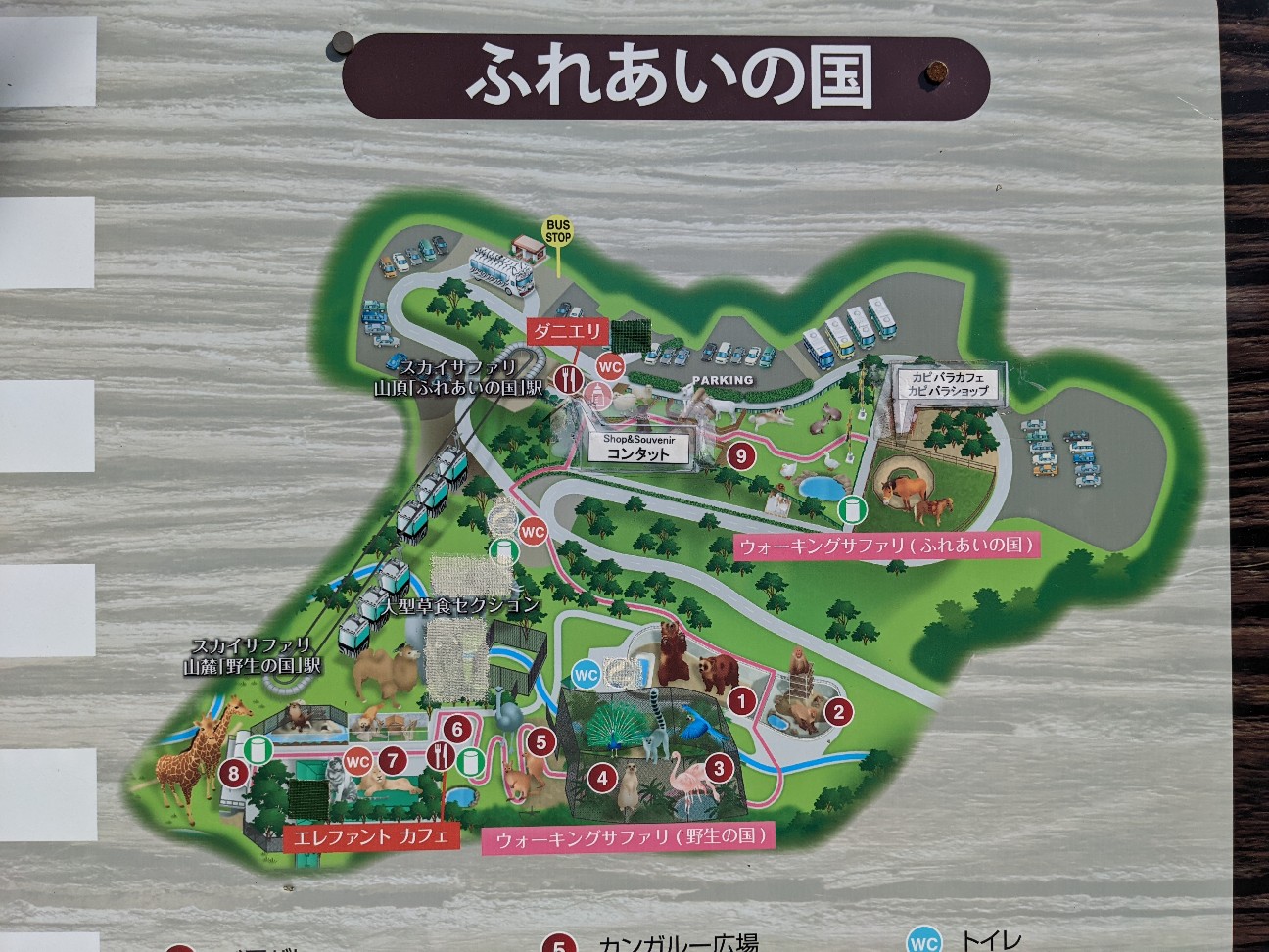 f:id:ranchou:20220804235049j:image f:id:ranchou:20220804235049j:image