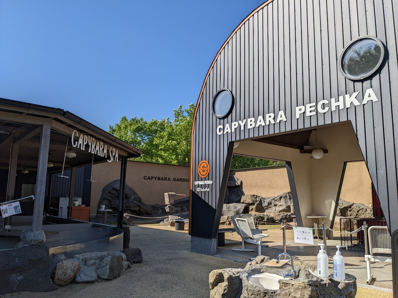 f:id:ranchou:20220804235150j:image f:id:ranchou:20220804235150j:image