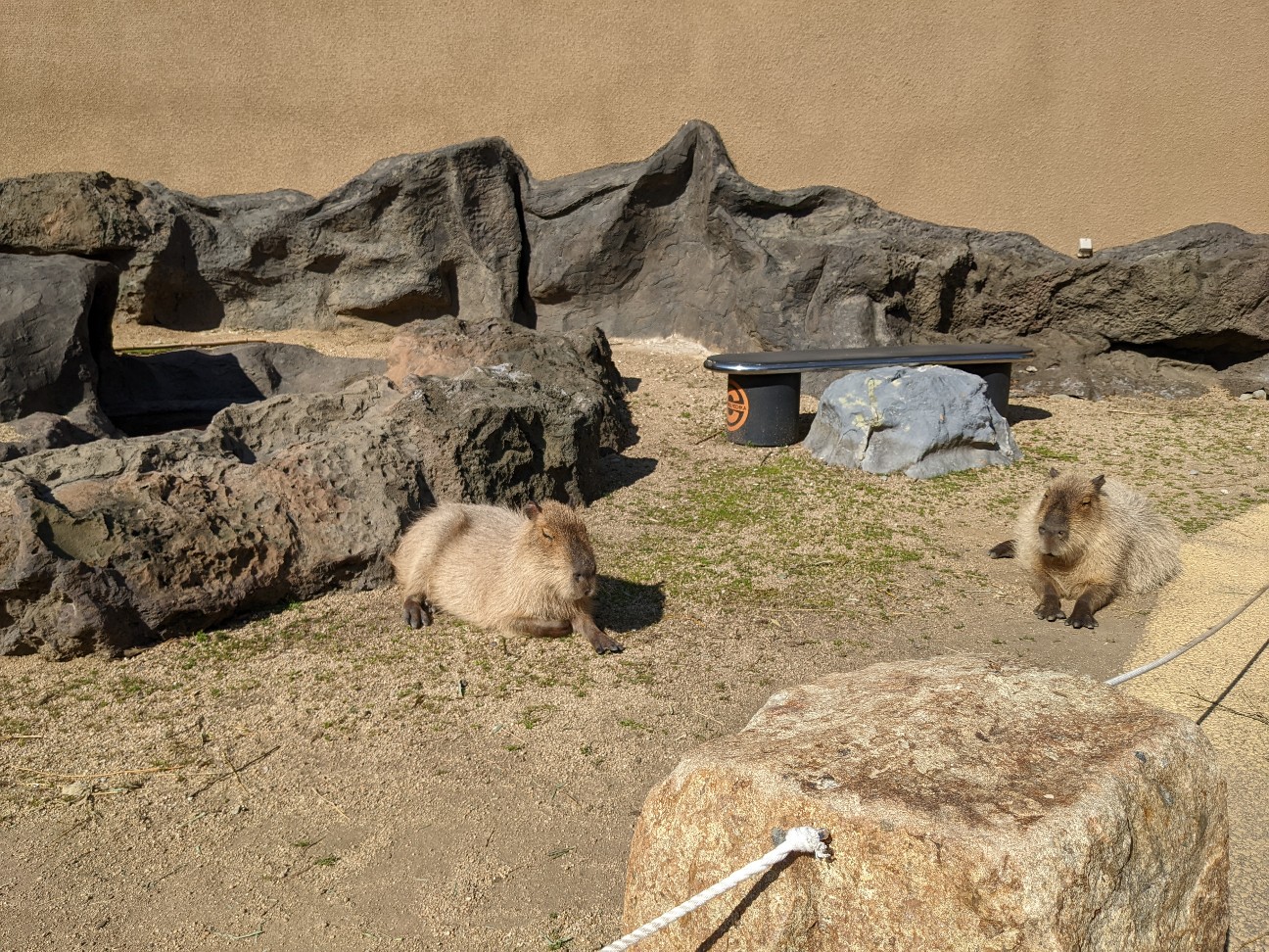 f:id:ranchou:20220804235159j:image f:id:ranchou:20220804235159j:image