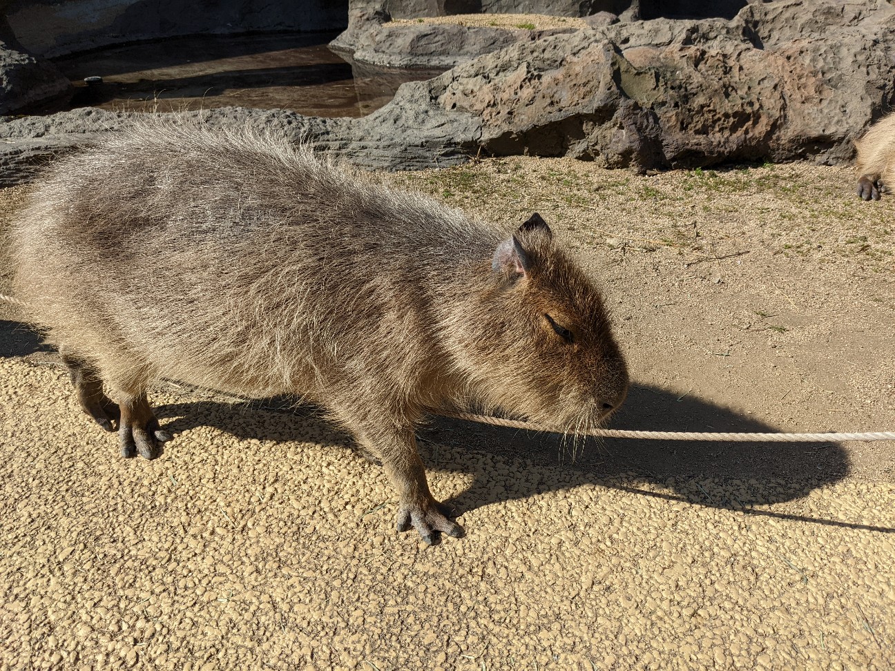 f:id:ranchou:20220804235235j:image f:id:ranchou:20220804235235j:image