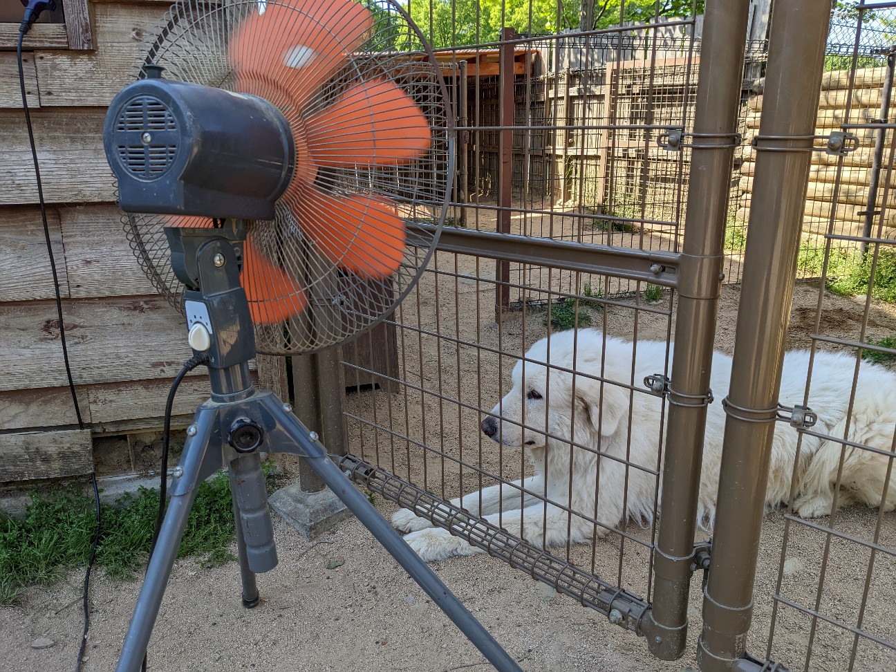 f:id:ranchou:20220804235404j:image f:id:ranchou:20220804235404j:image