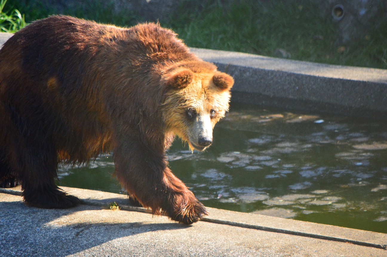 f:id:ranchou:20220804235426j:image f:id:ranchou:20220804235426j:image