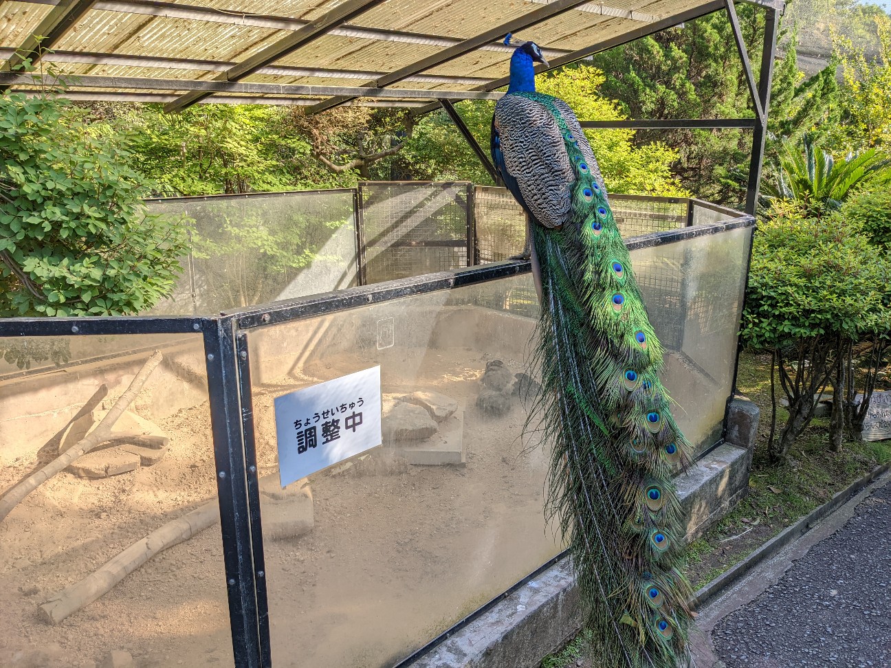 f:id:ranchou:20220804235455j:image f:id:ranchou:20220804235455j:image