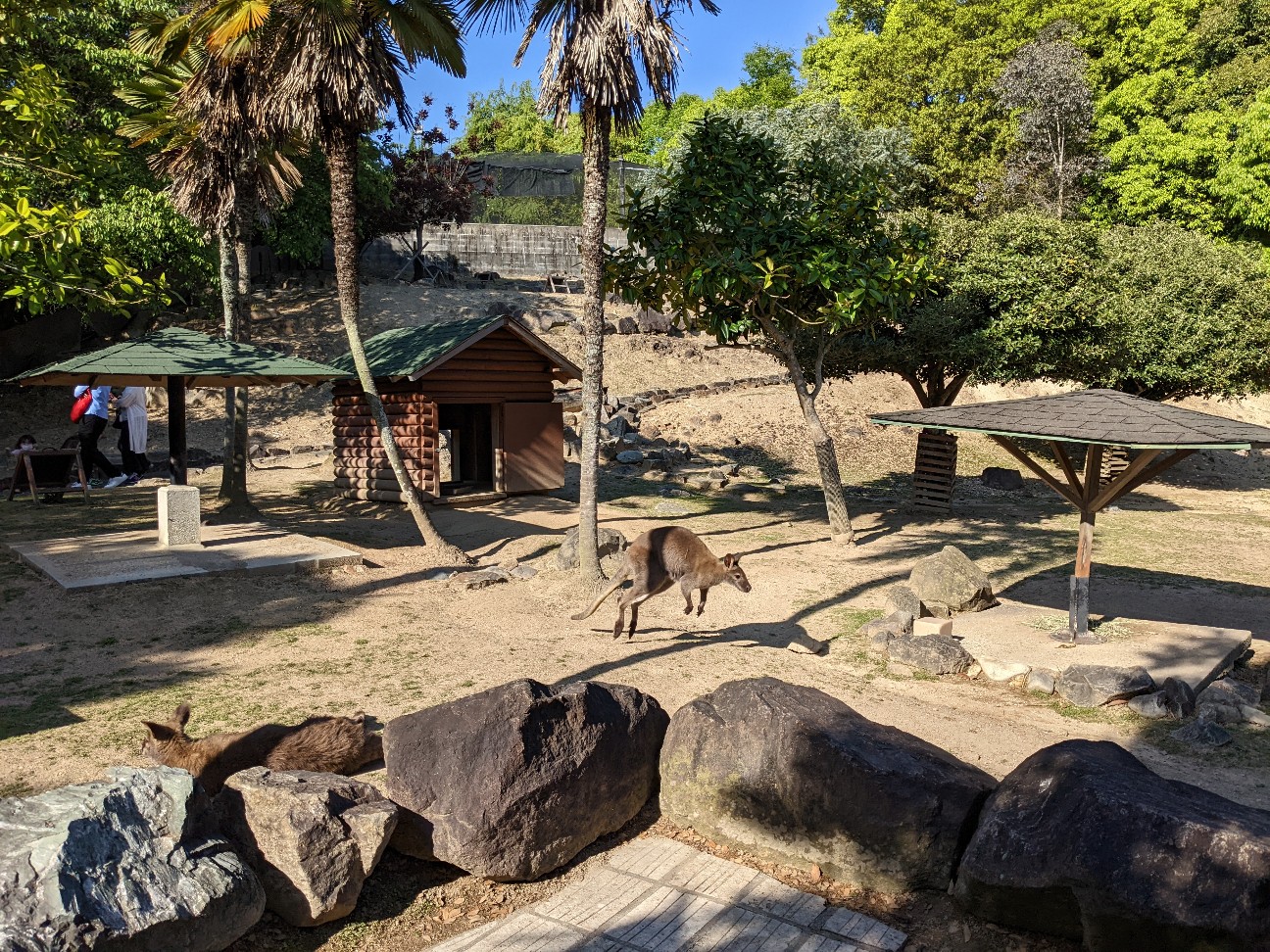 f:id:ranchou:20220804235547j:image f:id:ranchou:20220804235547j:image