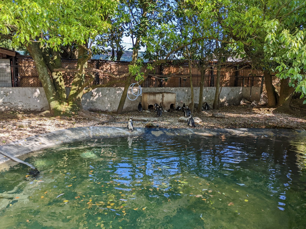 f:id:ranchou:20220804235612j:image f:id:ranchou:20220804235612j:image