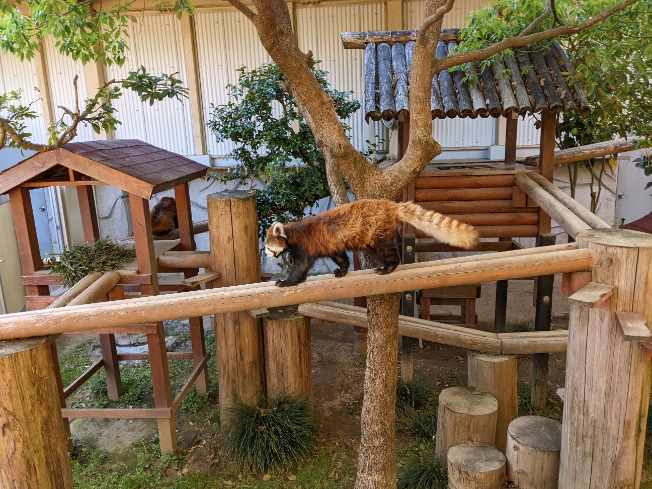 f:id:ranchou:20220804235643j:image f:id:ranchou:20220804235643j:image