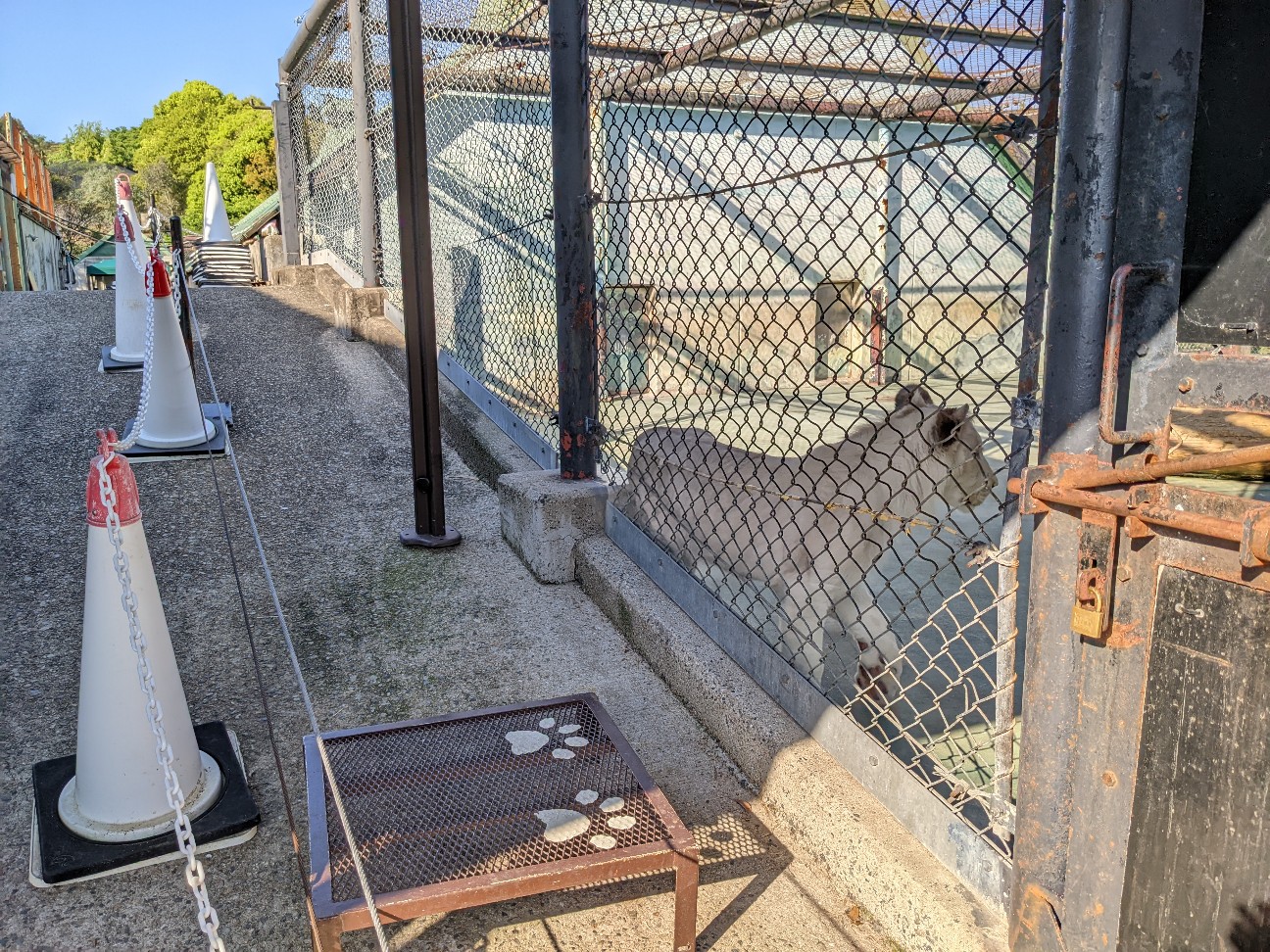 f:id:ranchou:20220804235756j:image f:id:ranchou:20220804235756j:image