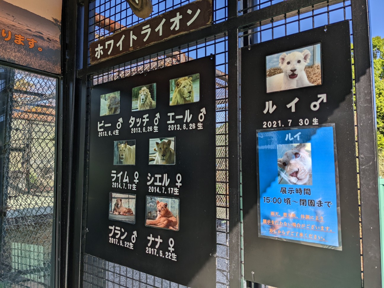 f:id:ranchou:20220804235821j:image f:id:ranchou:20220804235821j:image