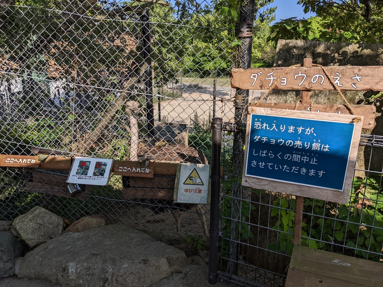 f:id:ranchou:20220804235831j:image f:id:ranchou:20220804235831j:image