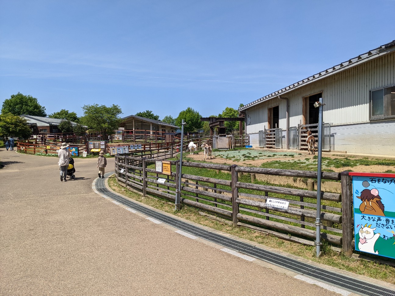 f:id:ranchou:20220811151311j:image