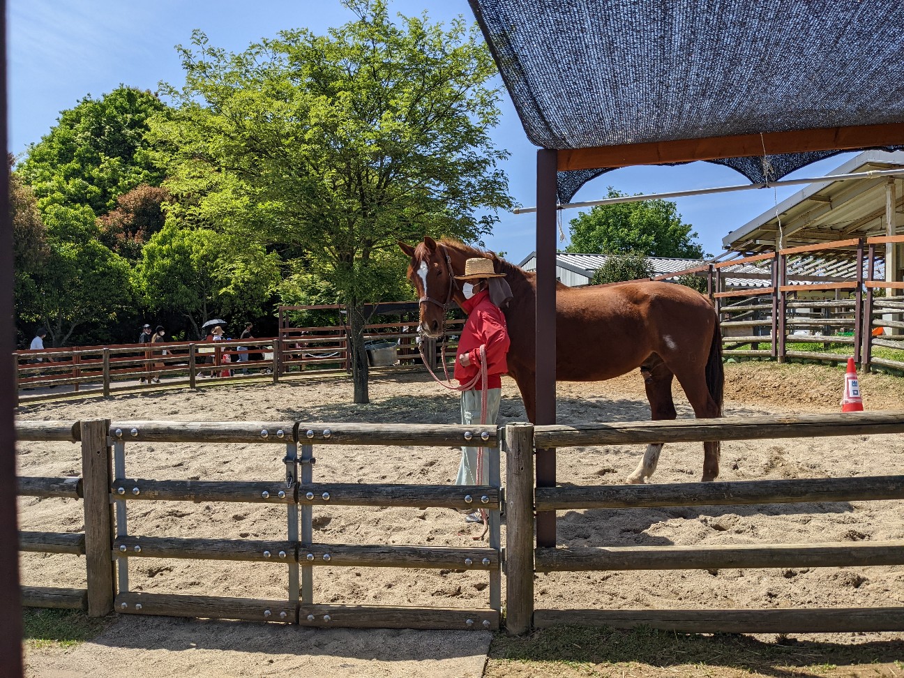 f:id:ranchou:20220811151644j:image