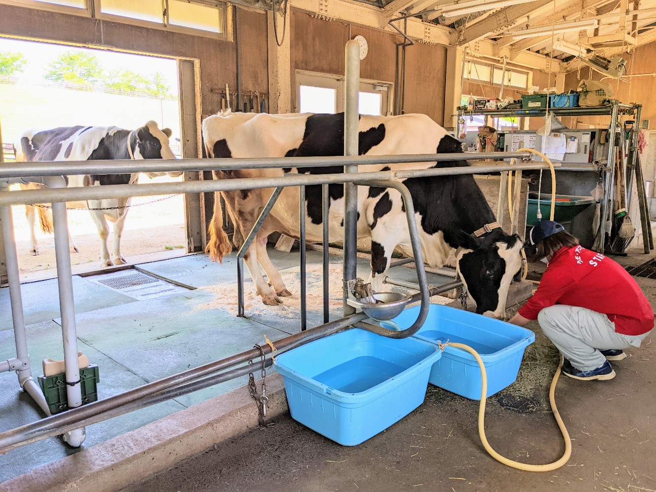 f:id:ranchou:20220811151806j:image