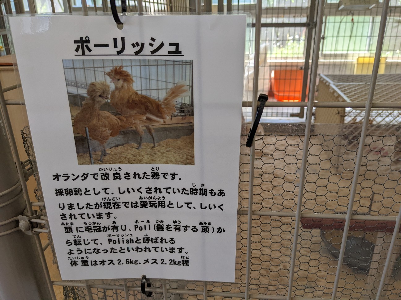 f:id:ranchou:20220811152113j:image