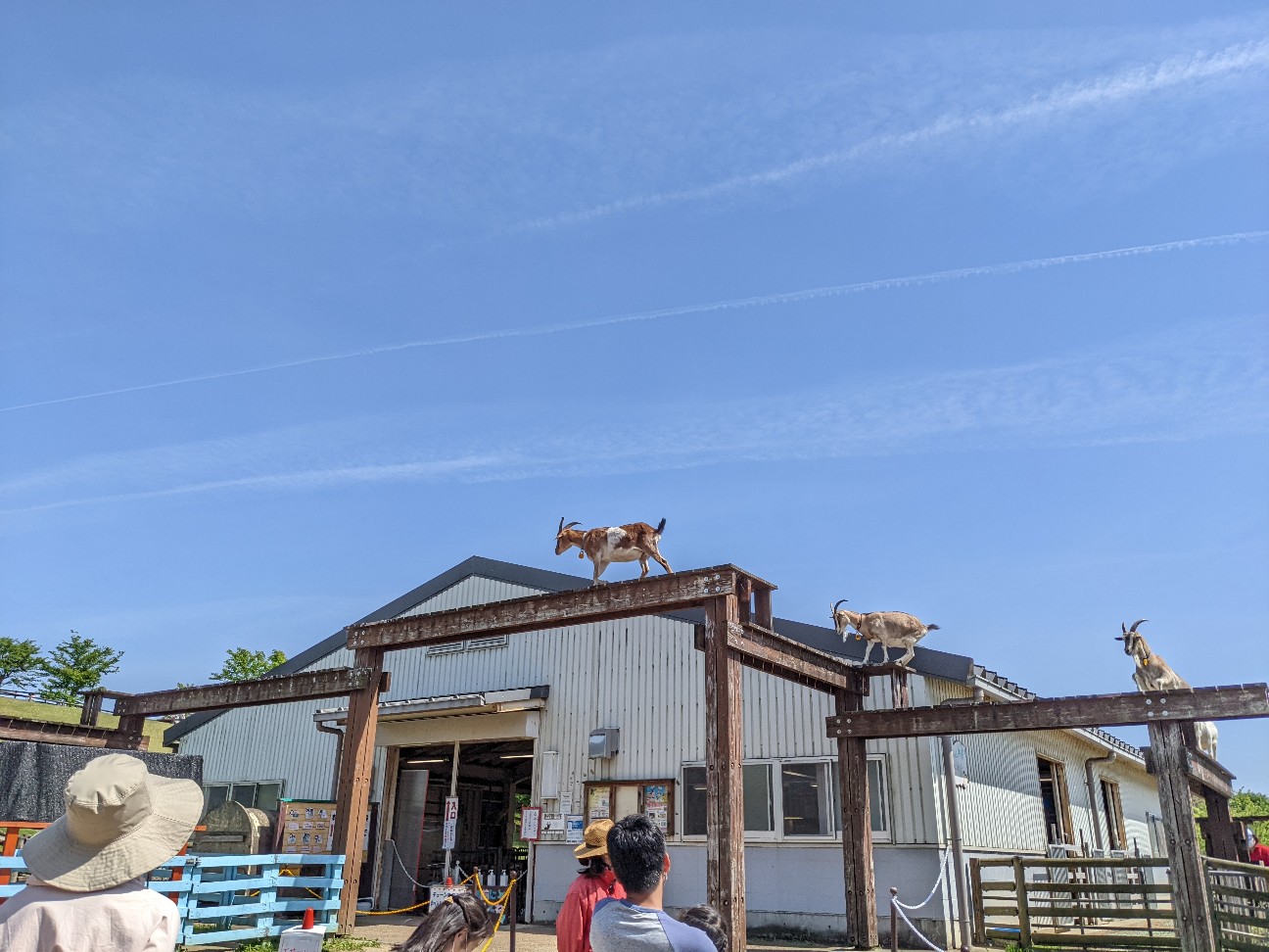 f:id:ranchou:20220811152939j:image