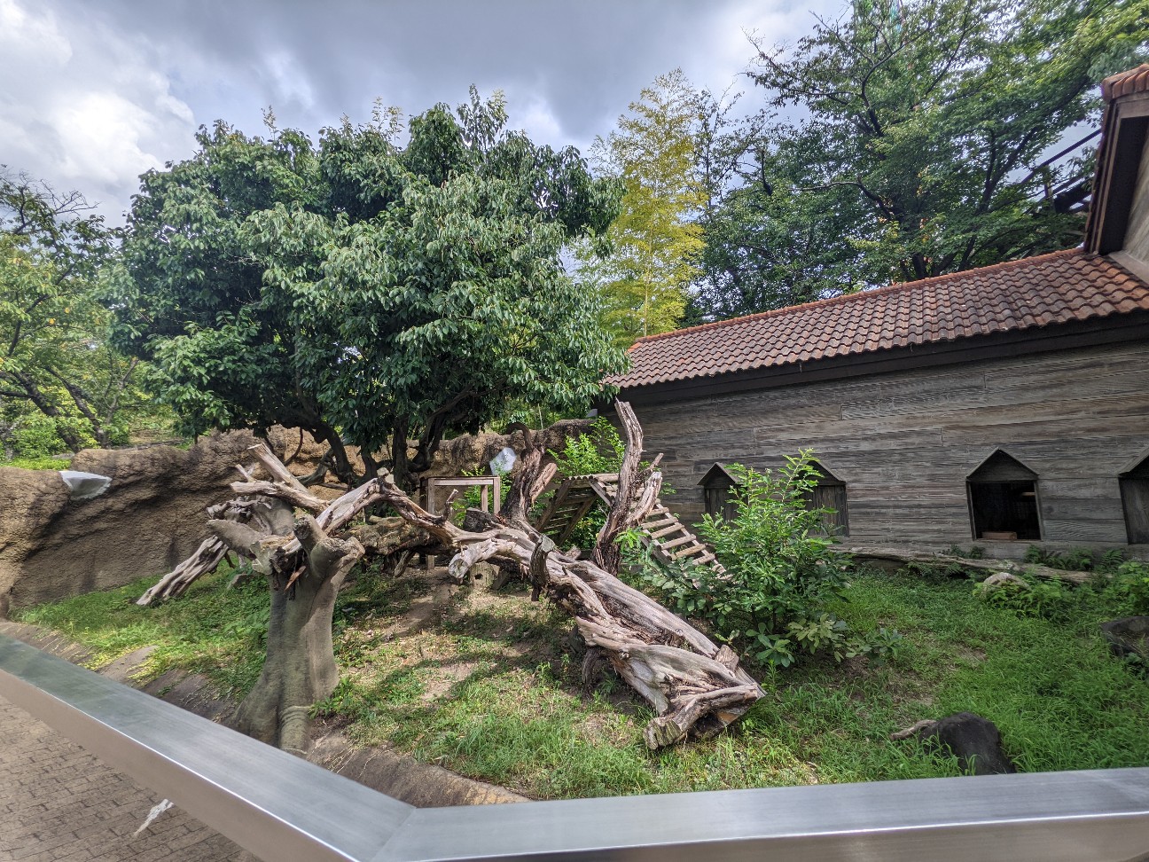 f:id:ranchou:20220814214006j:image f:id:ranchou:20220814214006j:image