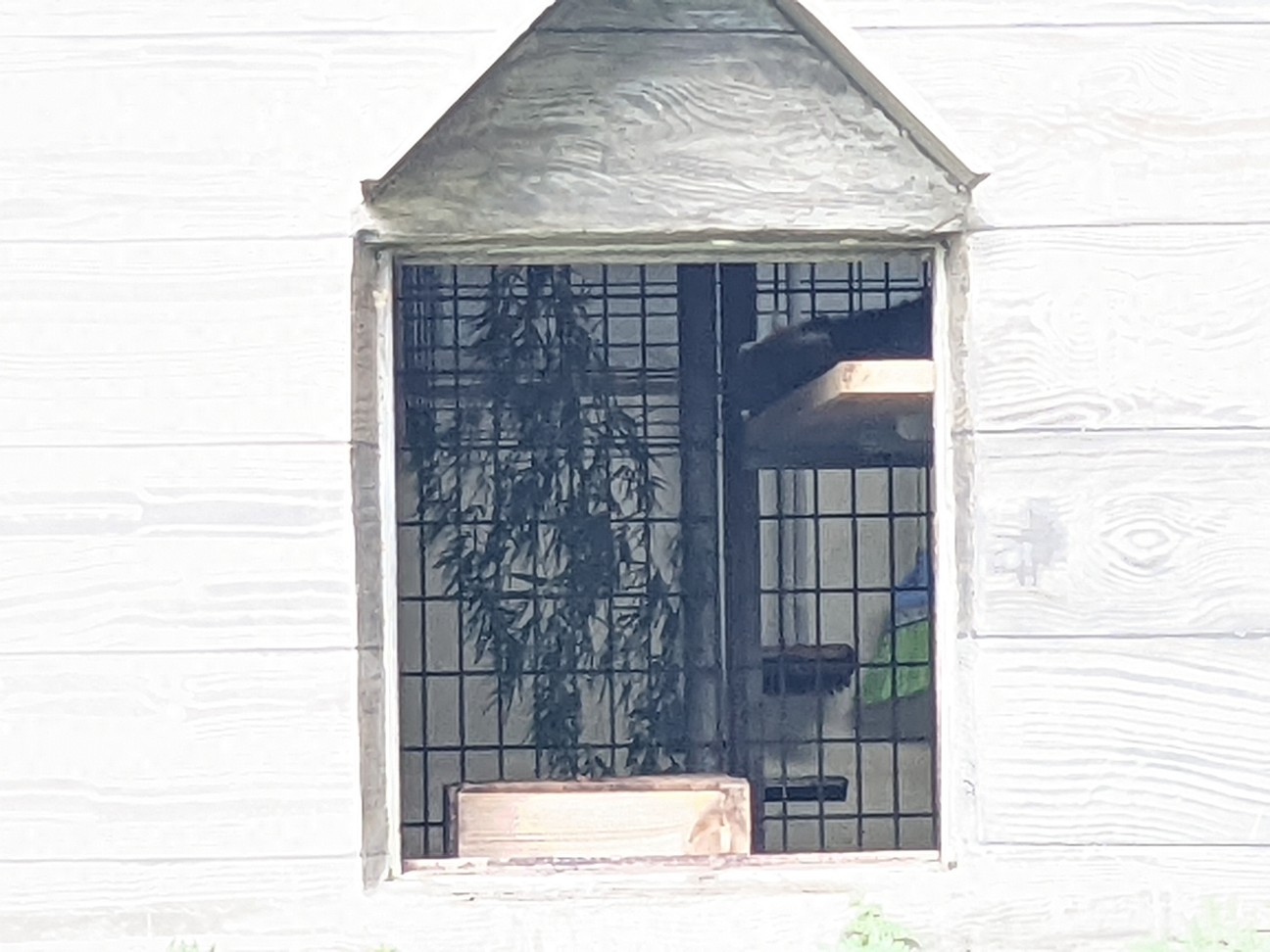 f:id:ranchou:20220814214027j:image f:id:ranchou:20220814214027j:image