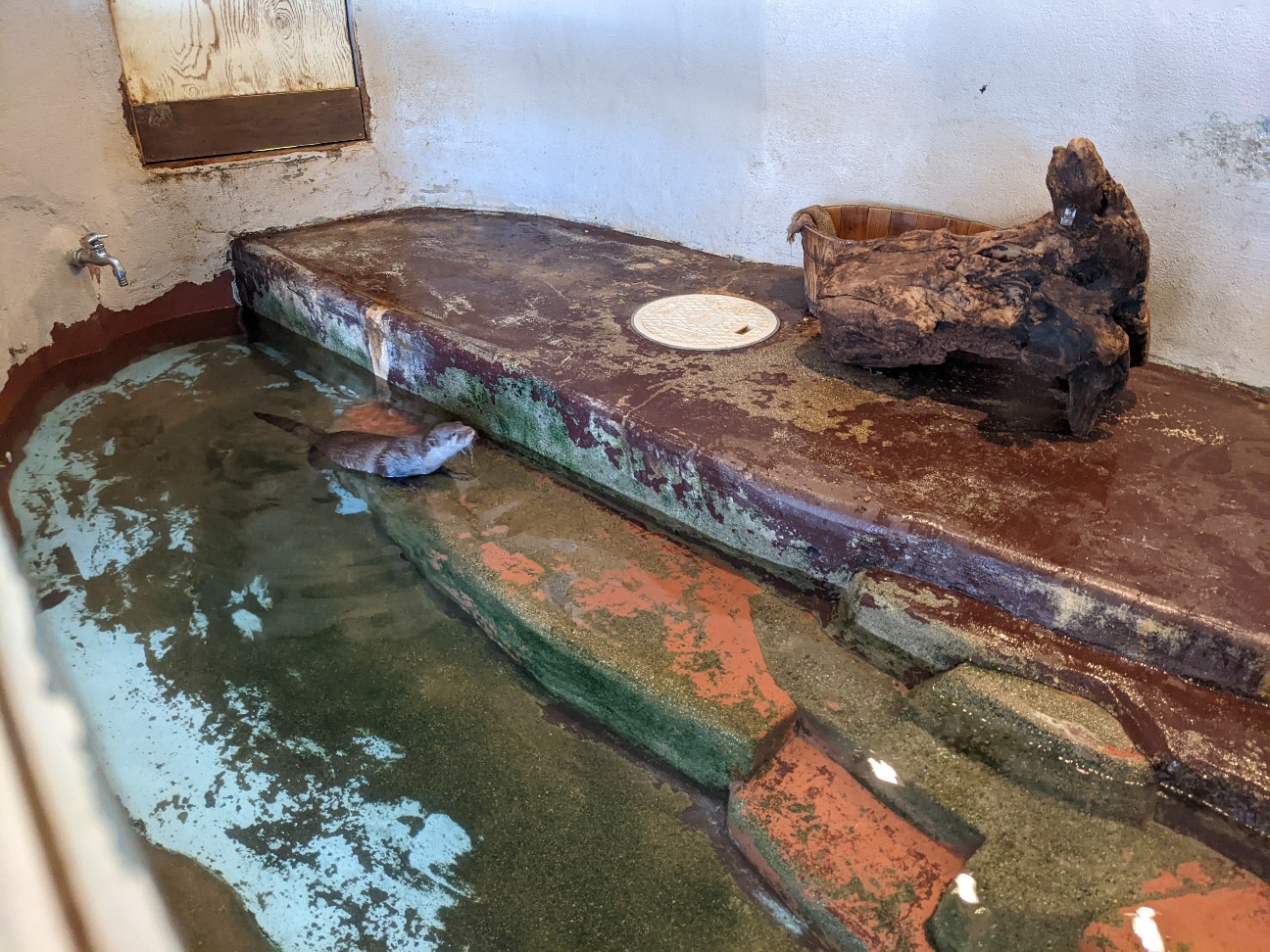 f:id:ranchou:20220814214617j:image f:id:ranchou:20220814214617j:image