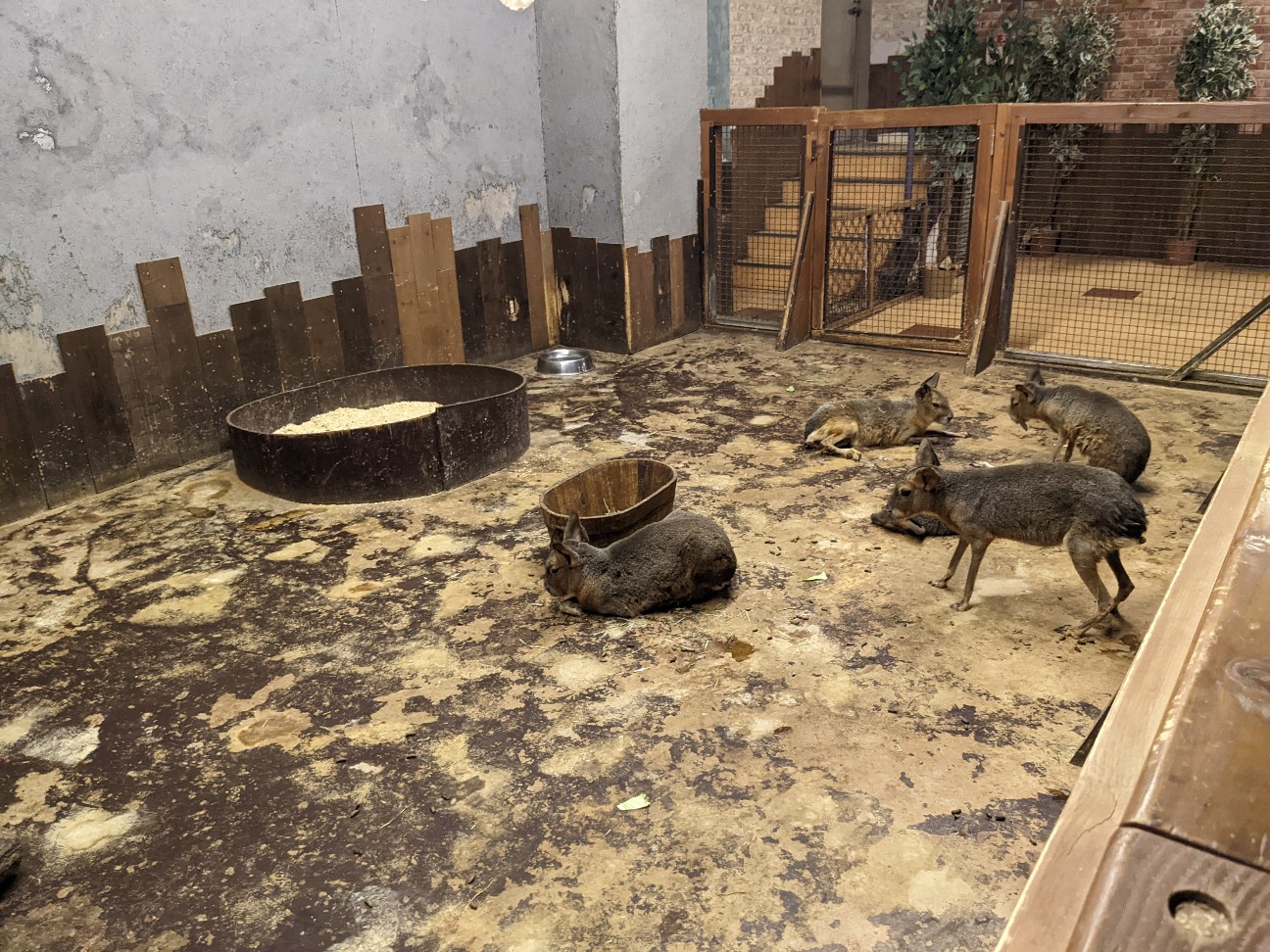 f:id:ranchou:20220814214730j:image f:id:ranchou:20220814214730j:image