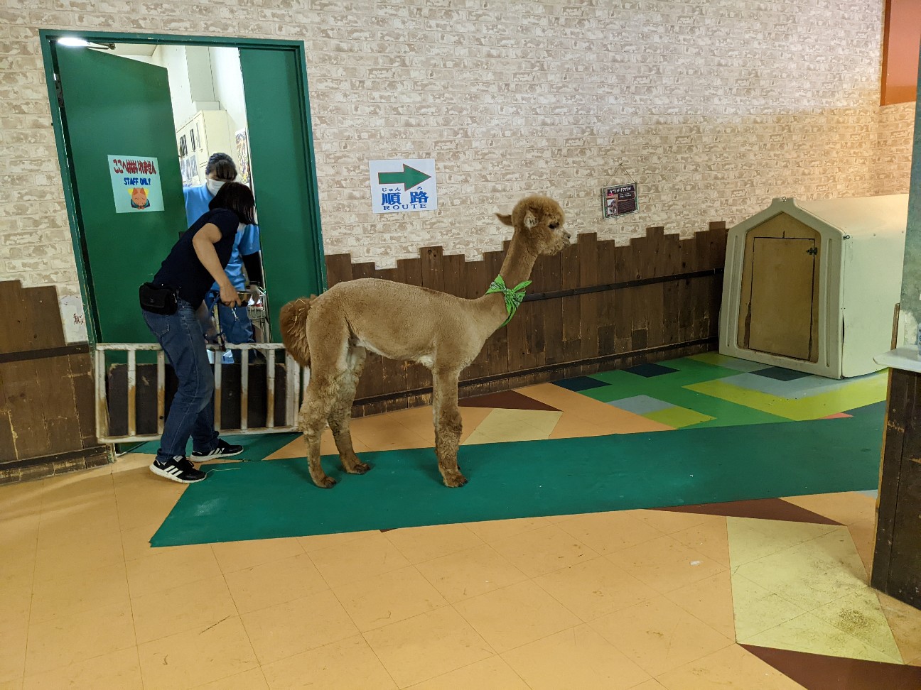 f:id:ranchou:20220814214743j:image f:id:ranchou:20220814214743j:image