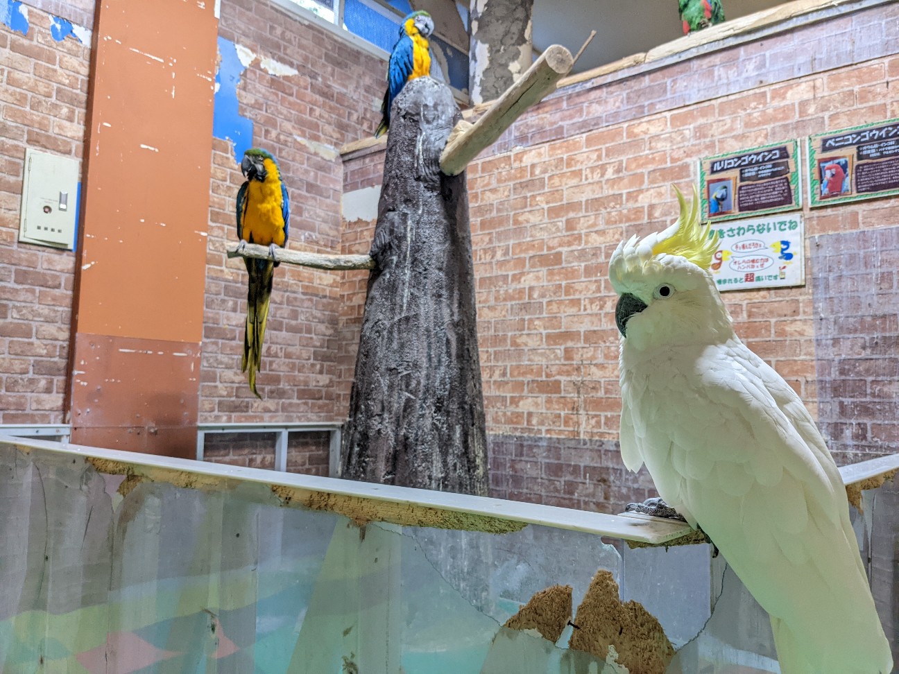 f:id:ranchou:20220814214802j:image f:id:ranchou:20220814214802j:image