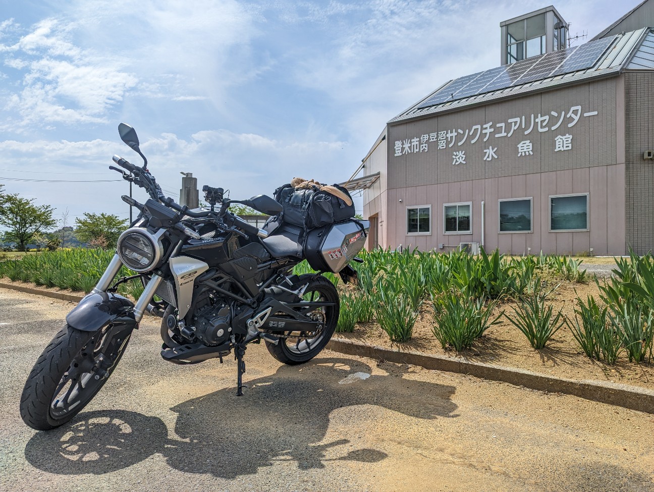 f:id:ranchou:20230430075445j:image