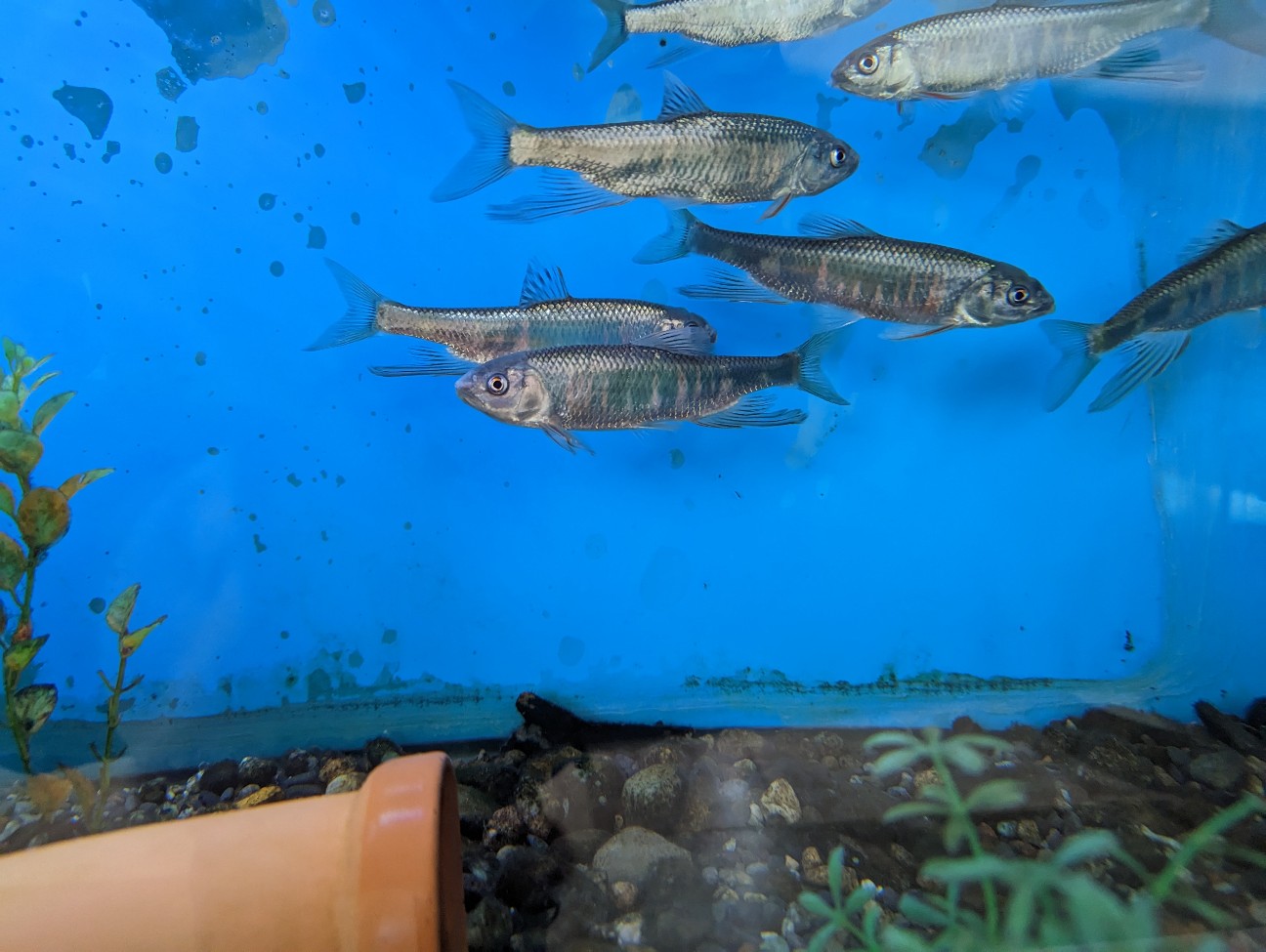 f:id:ranchou:20230430080100j:image