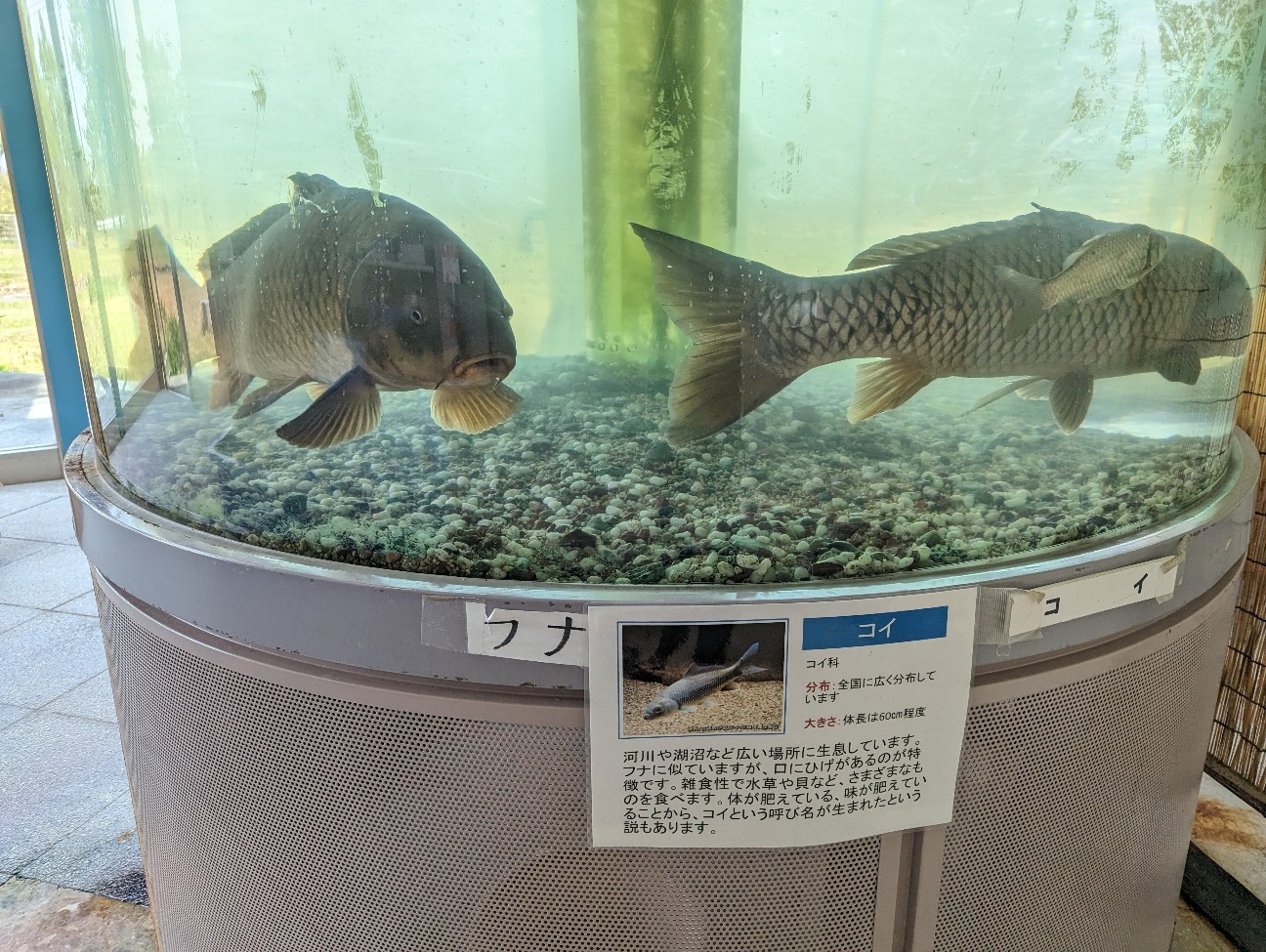 f:id:ranchou:20230430080109j:image