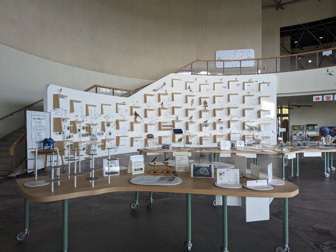 f:id:ranchou:20230430090539j:image