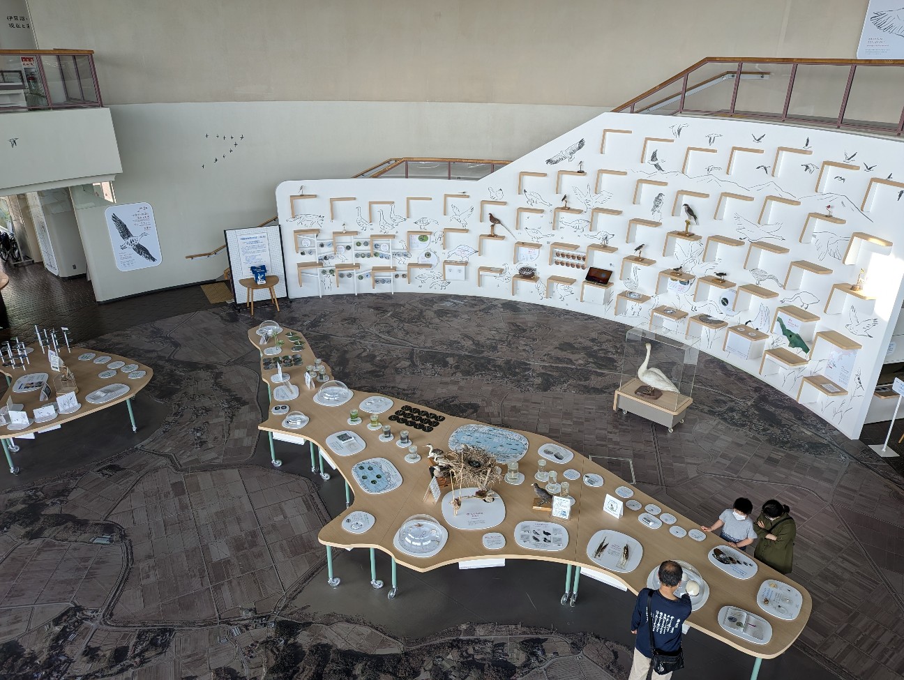 f:id:ranchou:20230430090548j:image